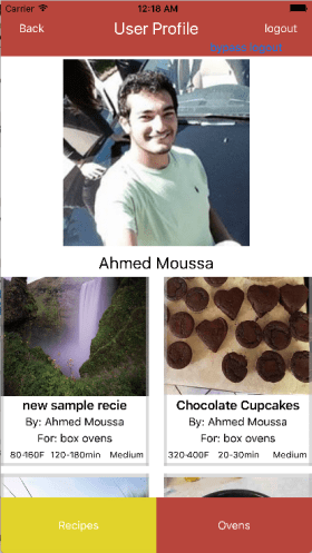 Screen Shot 2017-06-17 at 12.17.54 AM